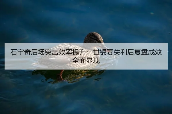 石宇奇后场突击效率提升：世锦赛失利后复盘成效全面显现